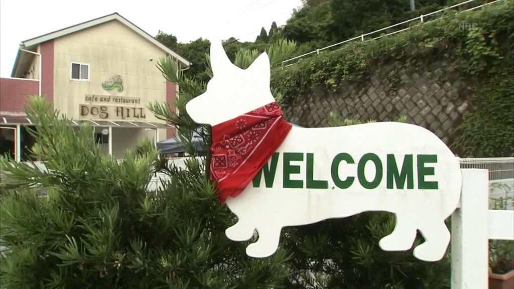 癒やしのドッグヒル