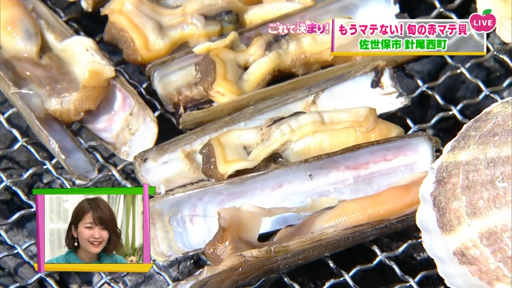 これで決まり もうマテない 針尾の赤マテ貝
