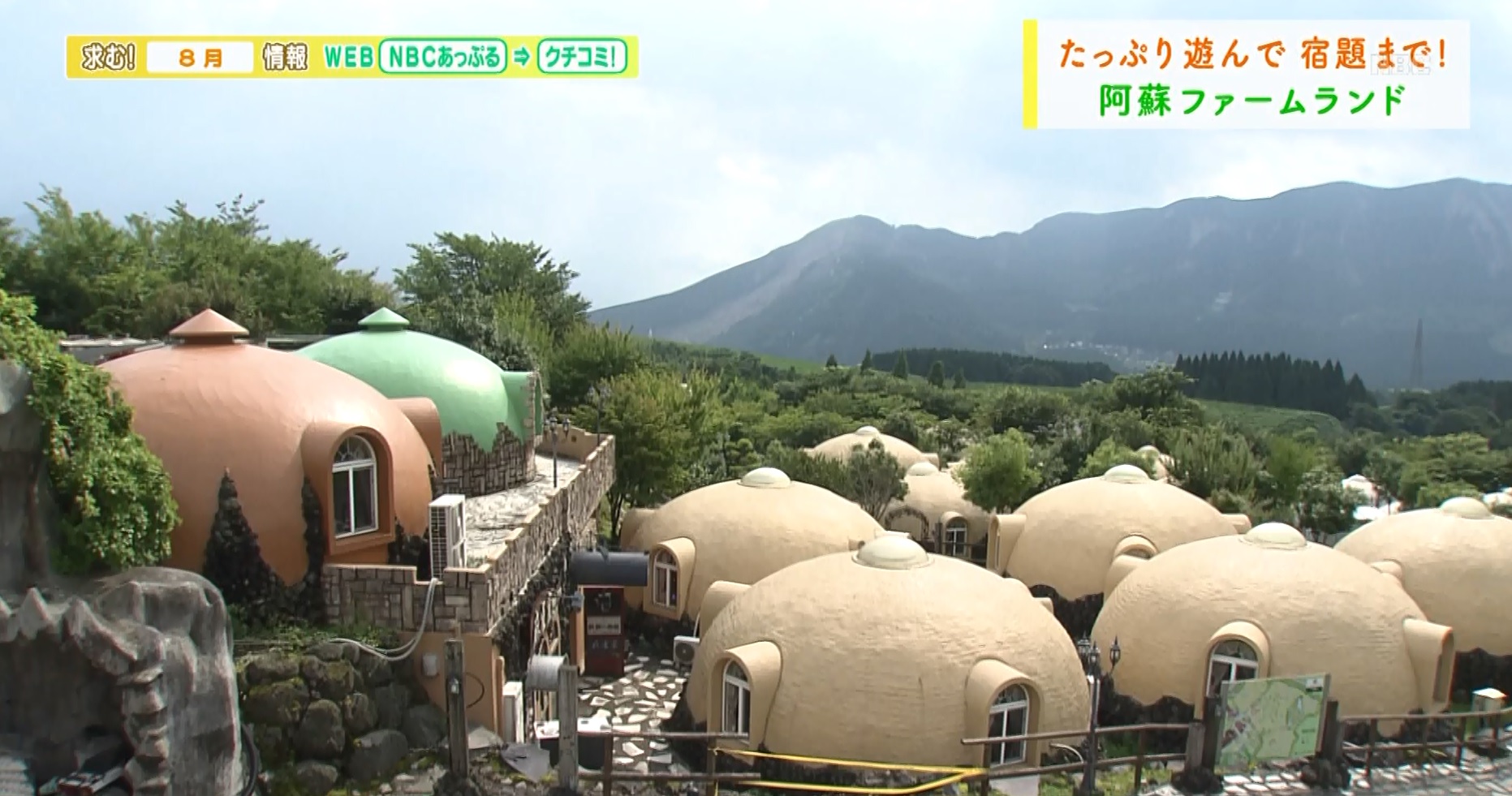 ビレッジ 阿蘇 ファーム 【HIS】【ホテル宿泊プラン】くまもと再発見の旅 大自然健康テーマパーク「阿蘇ファームビレッジ」