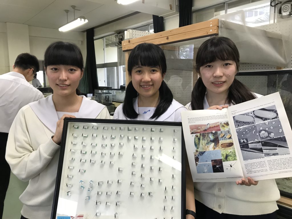 ゴーゴースクール 長崎西高 生物部 ゴーゴースクール 長崎西高 生物部