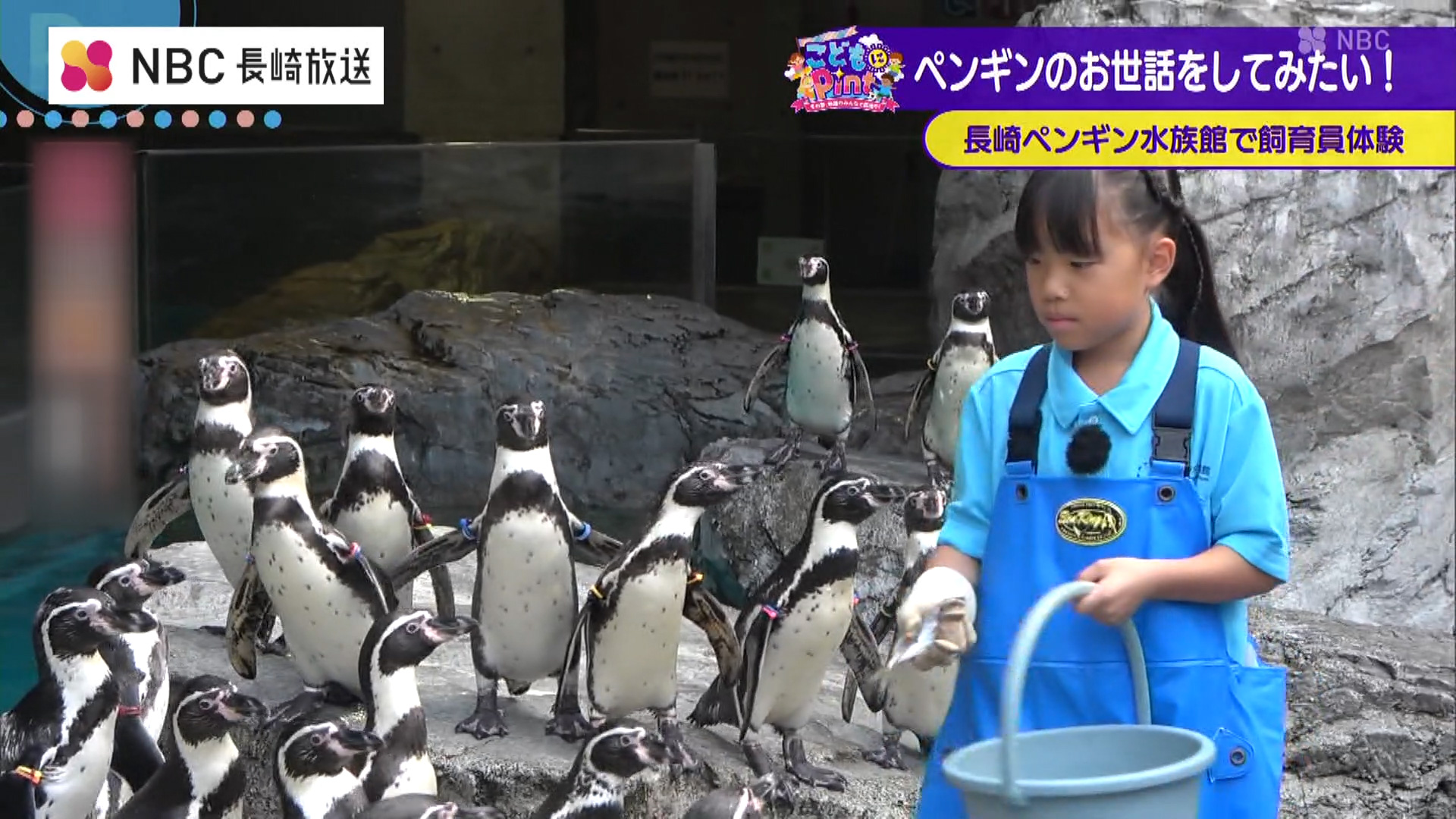 #1「ペンギン水族館でペンギンのお世話をしてみたい！」